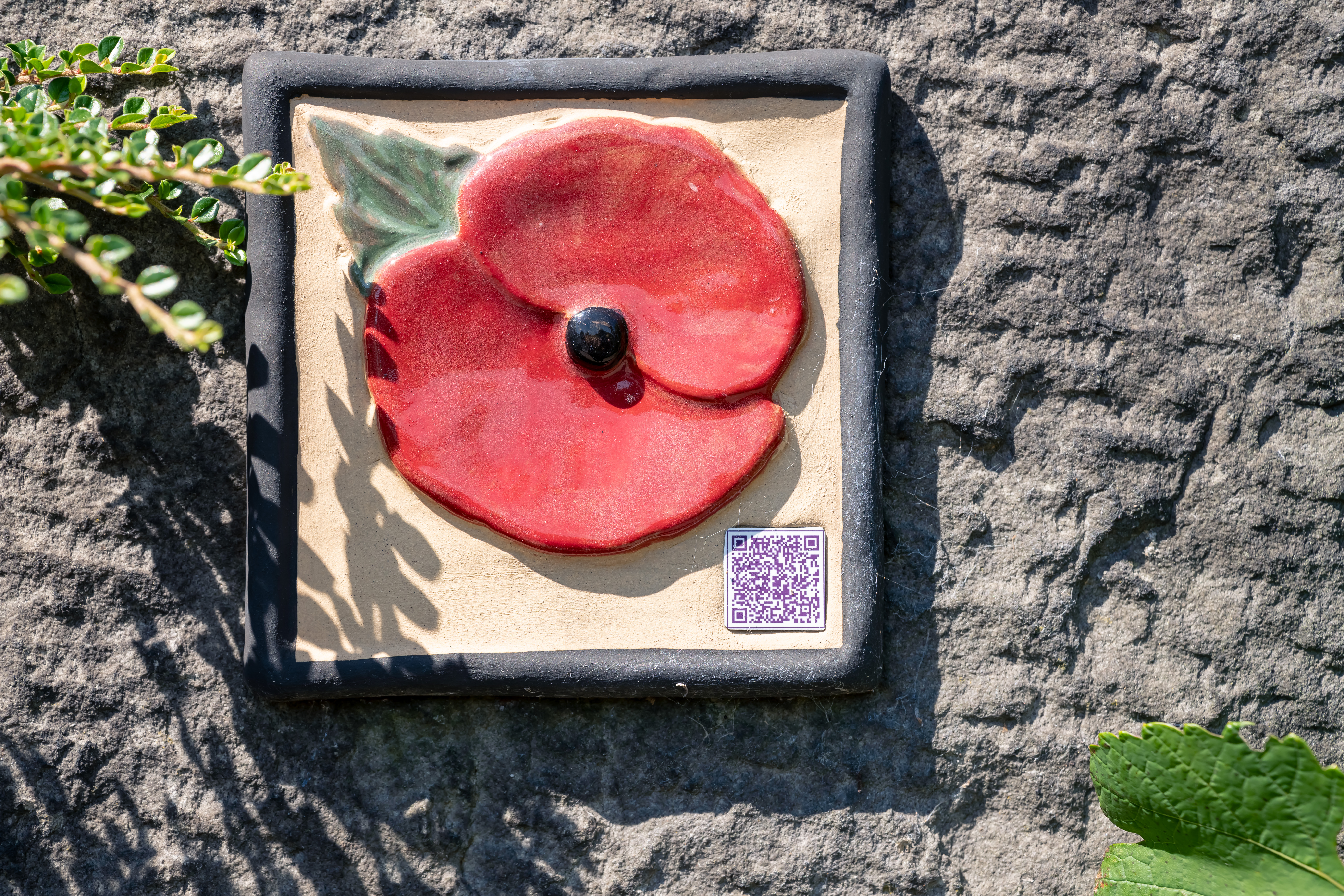 Garstang Poppy Trail